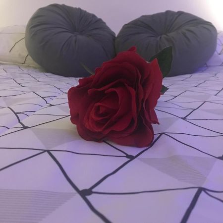 Lovely Studio Bourges Ngoại thất bức ảnh